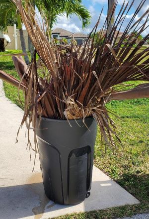 Compliant Horticulture Waste 2